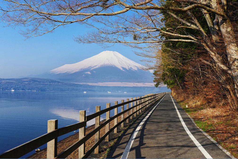 TOKYO-KYOTO-NARA-OSAKA fotoğrafı 1