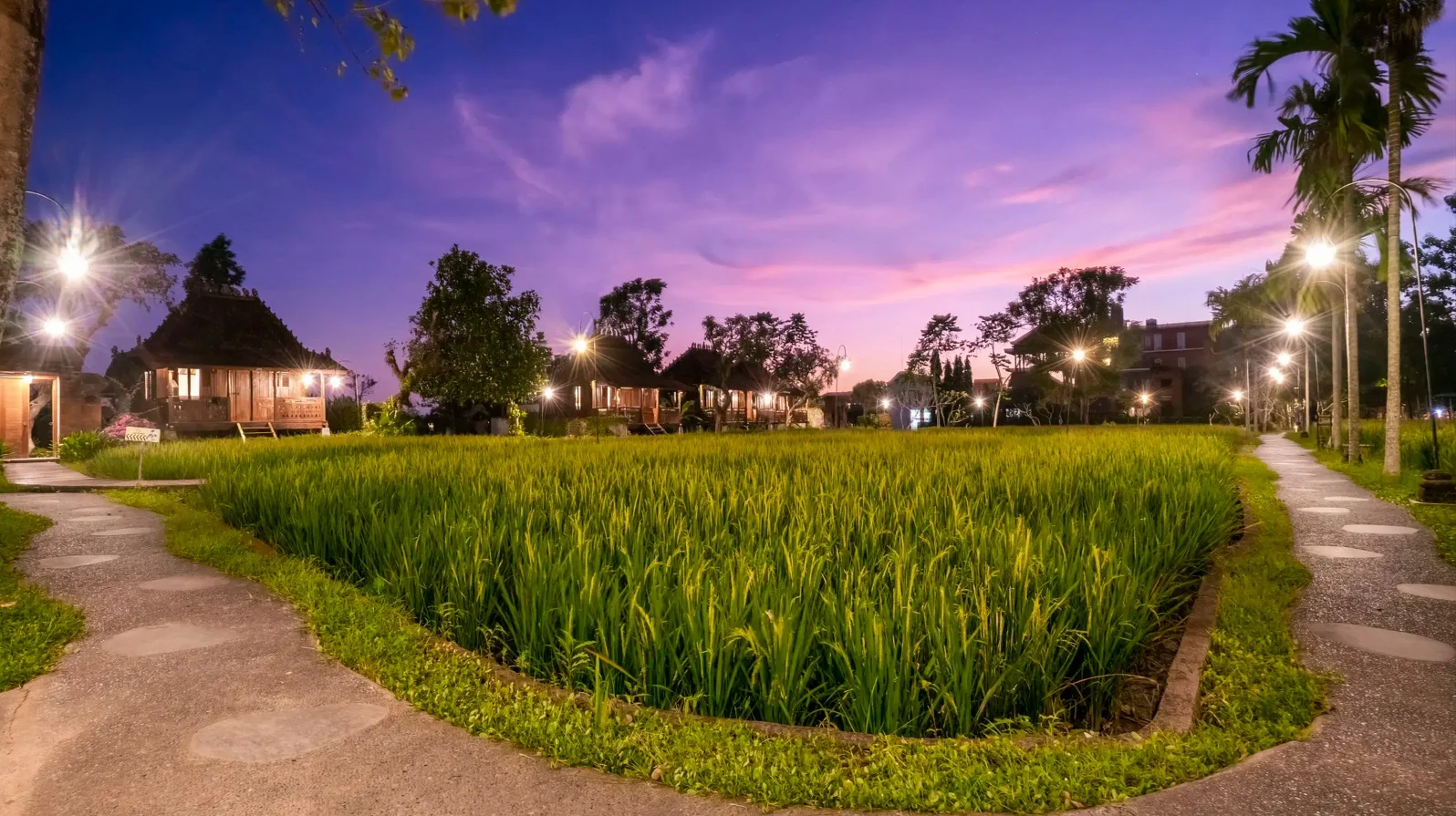 BALİ-GİLİ-UBUD (Kişiye Özel) fotoğrafı 3