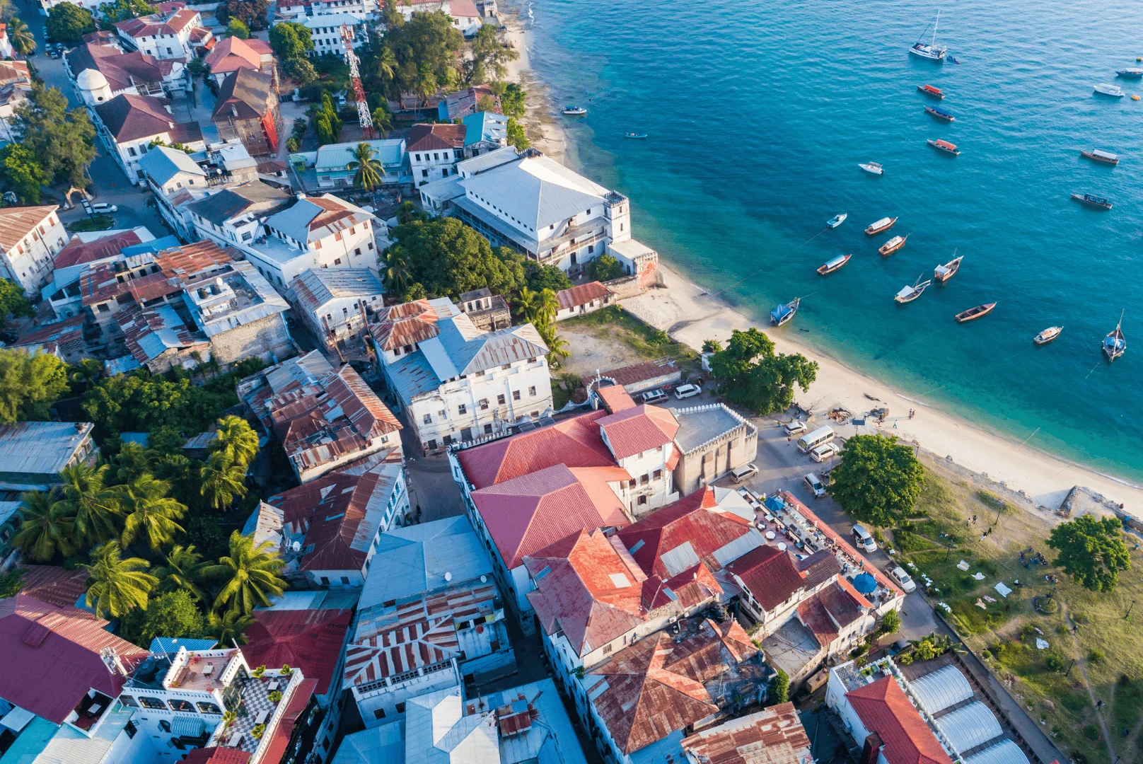 ZANZİBAR fotoğrafı 8