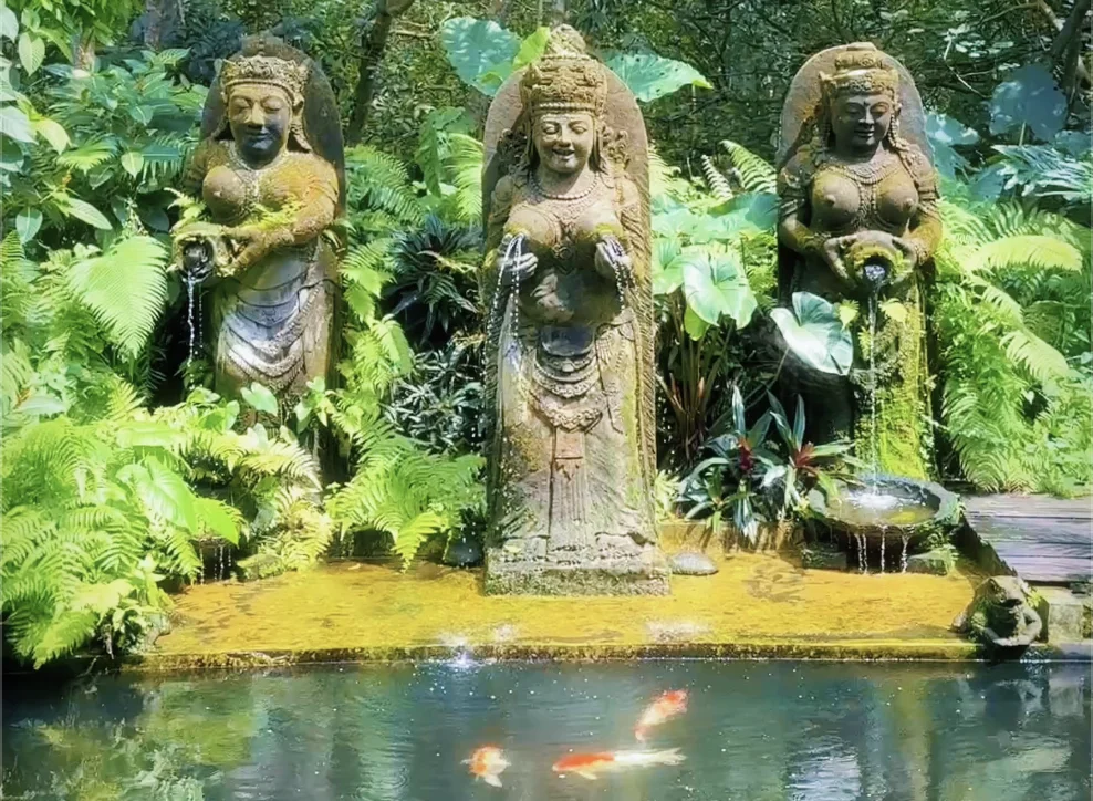 PHUKET-BALİ-UBUD fotoğrafı 14